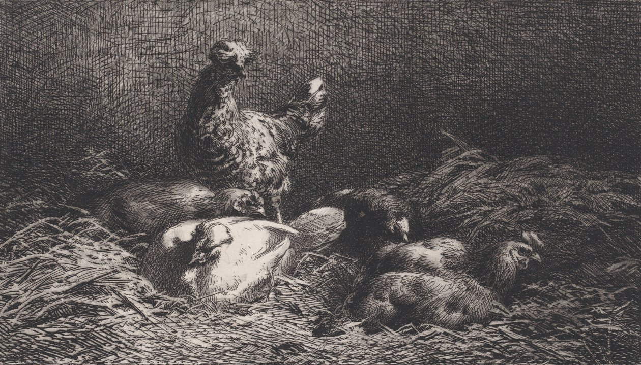 Slepice, 1867. od Charles Emile Jacque