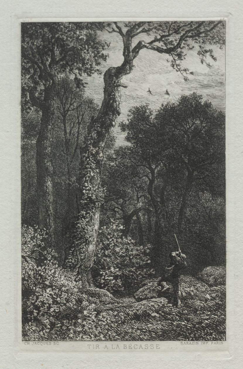 Střelba na Woodcocka. od Charles Emile Jacque