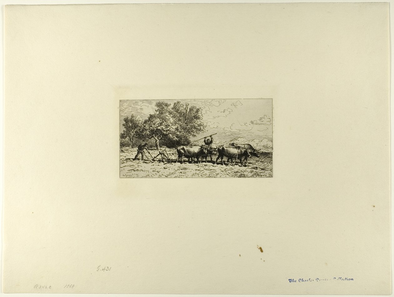 Tým Oxen od Charles Emile Jacque