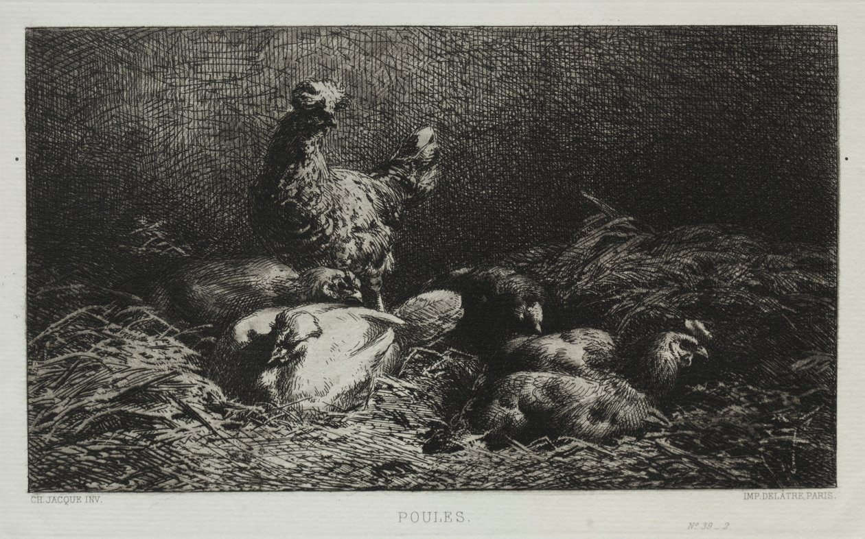 Kuřata. od Charles Emile Jacque