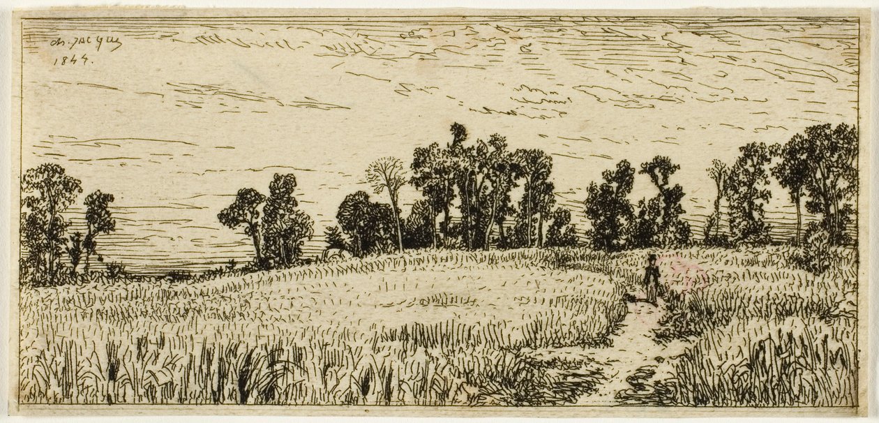 Pšeničné pole od Charles Emile Jacque