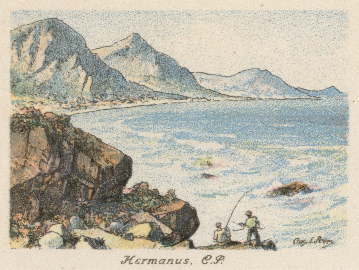 Jižní Afrika: Hermanus, CP (barevná litografie) od Charles Ernest Peers