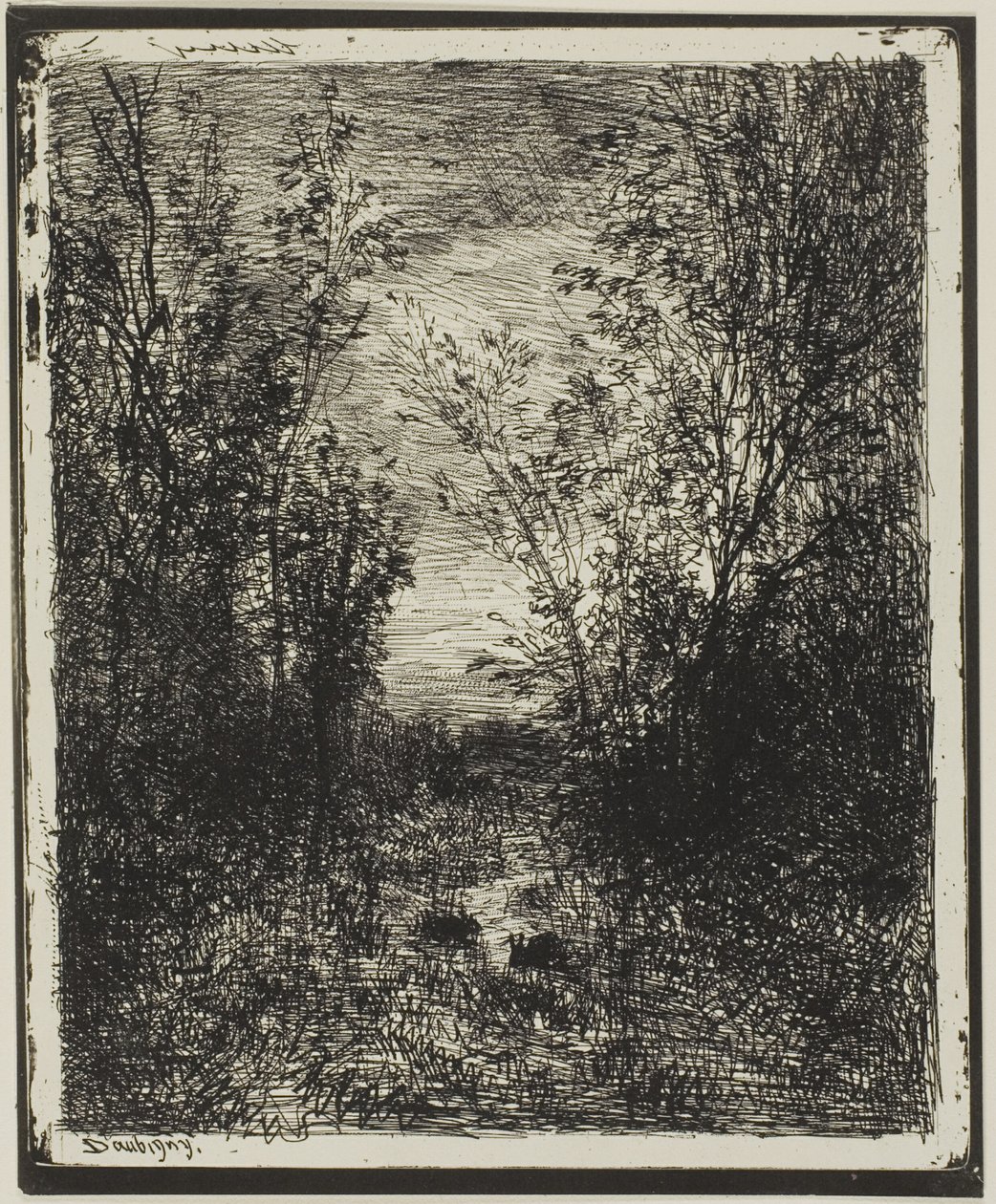 Brook na mýtině od Charles Francois Daubigny