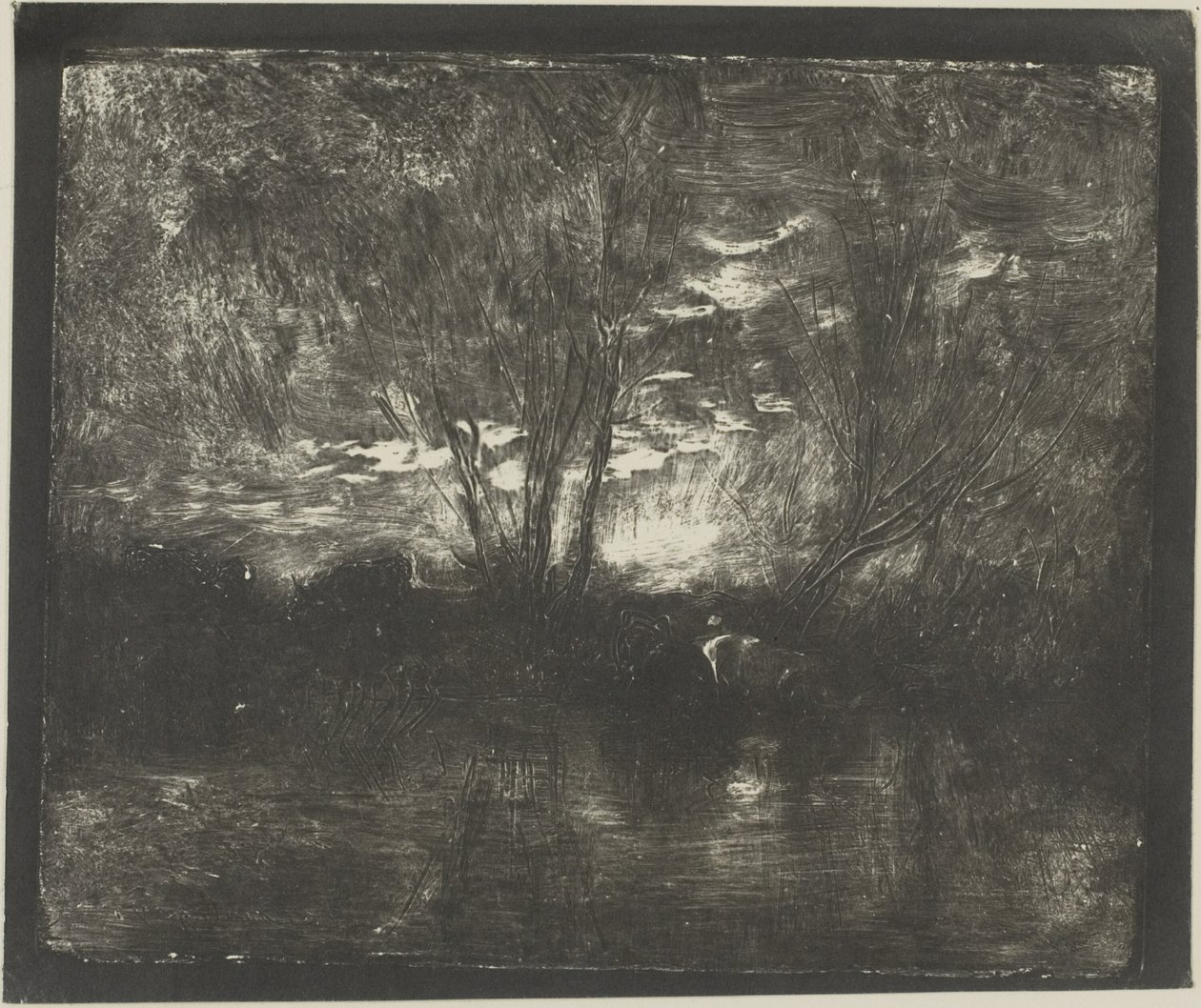 Krávy u napajedla od Charles Francois Daubigny
