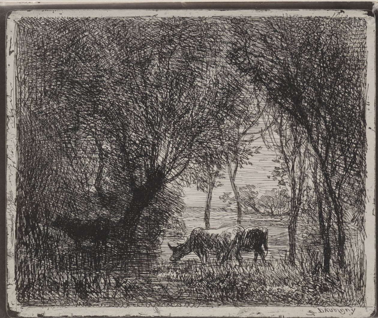 Krávy v lese od Charles Francois Daubigny