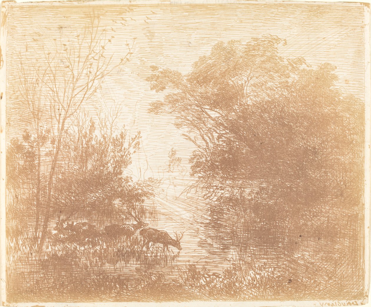 Jelen od Charles Francois Daubigny