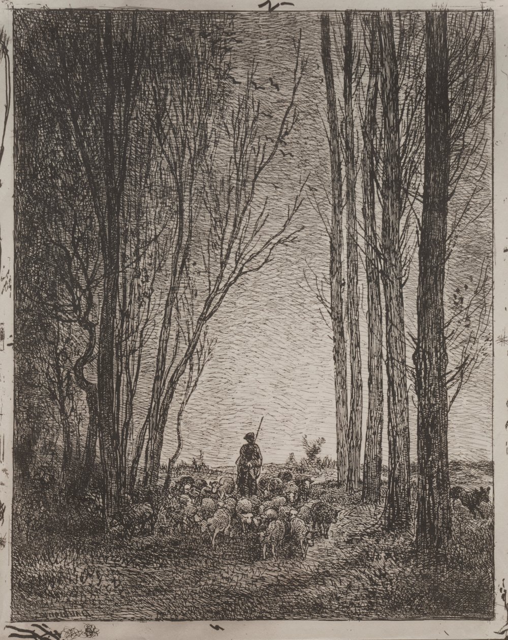 Shromáždění v Hejnu od Charles Francois Daubigny