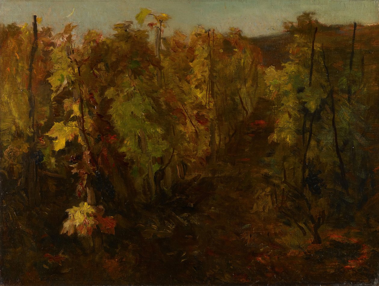 Vinná réva, 1860-1863. od Charles Francois Daubigny