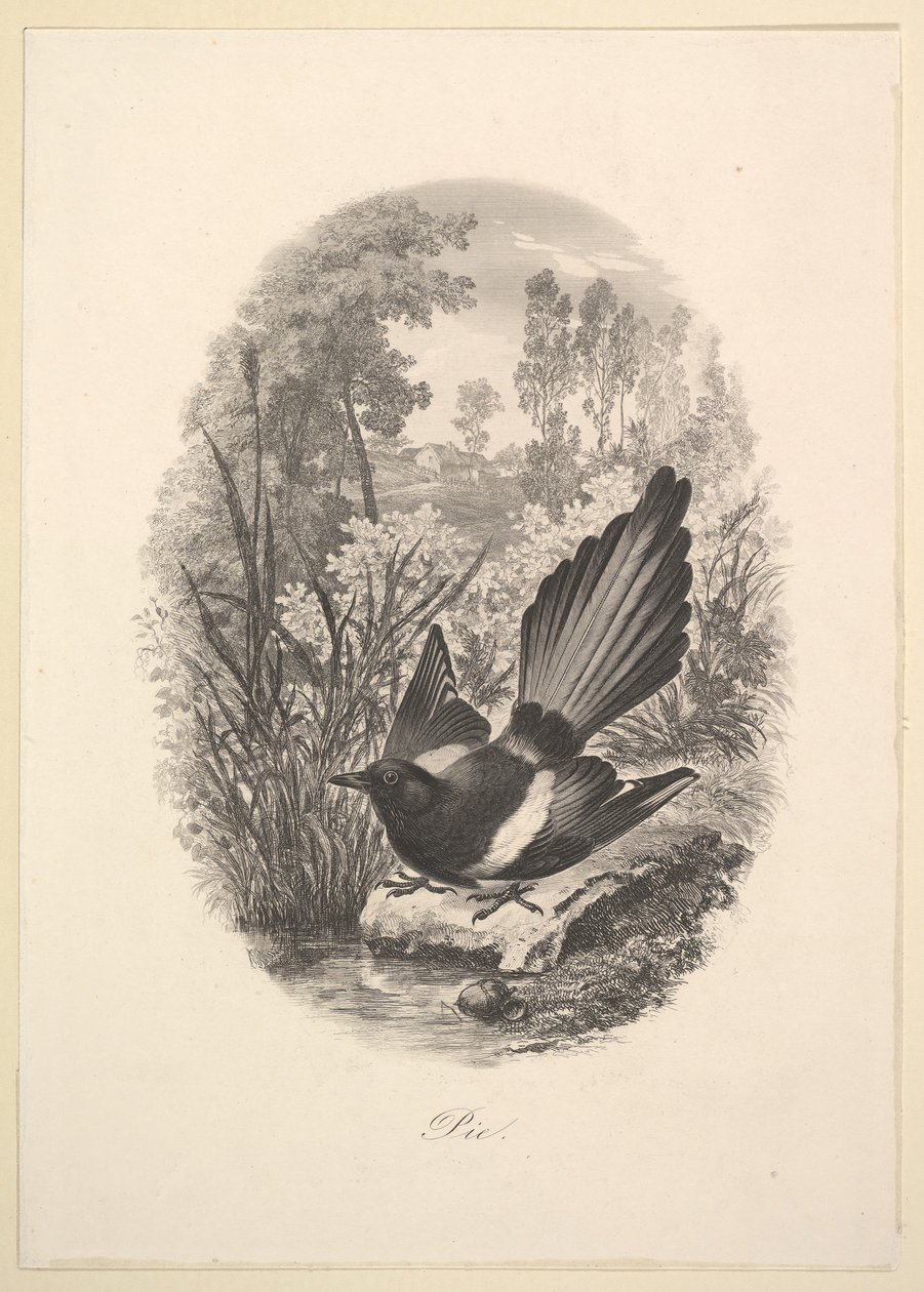 Straka, 1843. od Charles Francois Daubigny