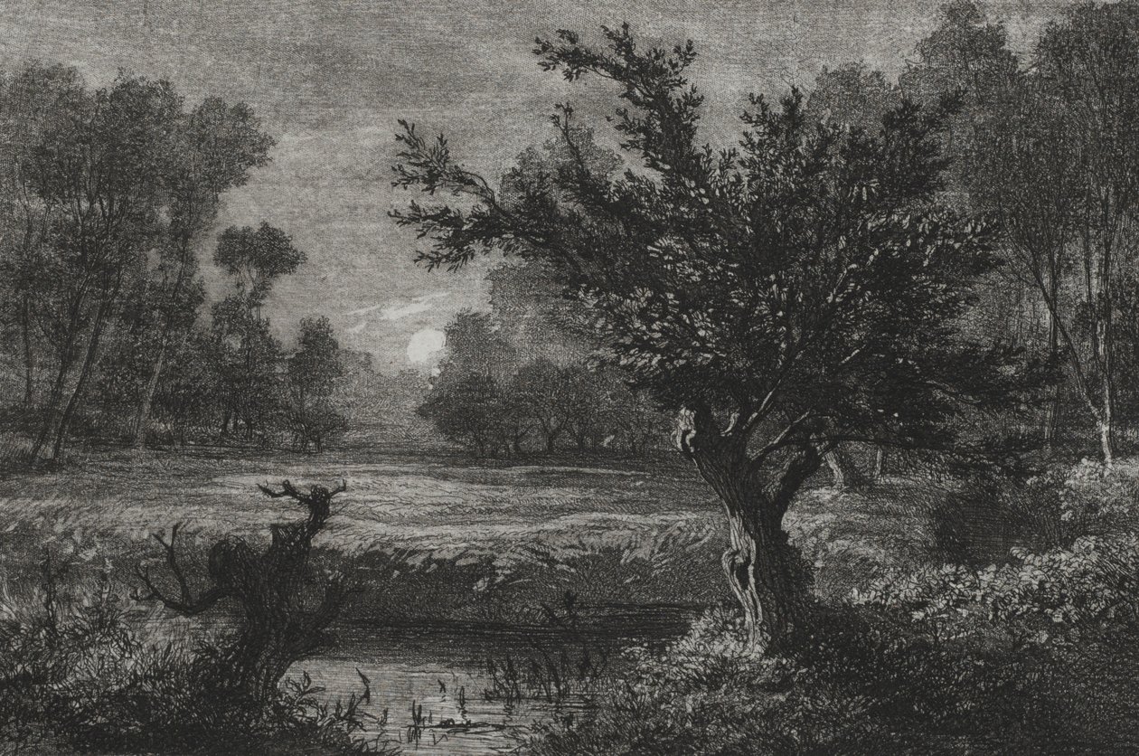 Východ měsíce v údolí Andilly, 1845. od Charles Francois Daubigny