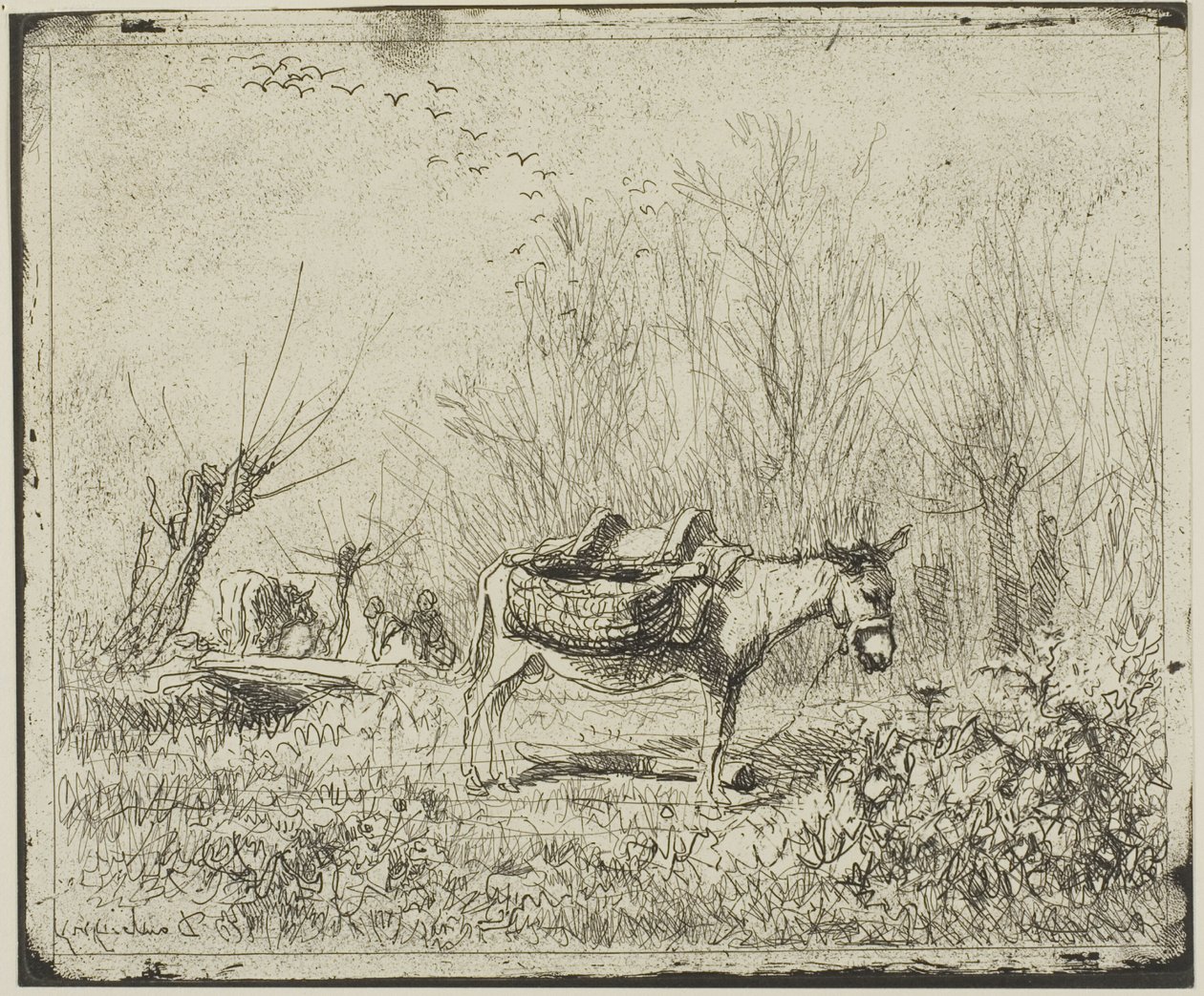Oslík na louce od Charles Francois Daubigny