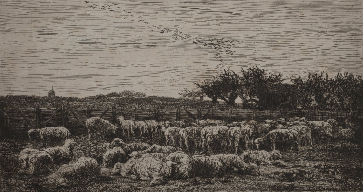 Velký ovčín od Charles Francois Daubigny