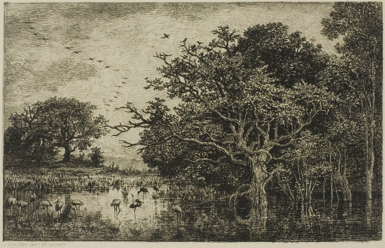 Bažina s čápy od Charles Francois Daubigny
