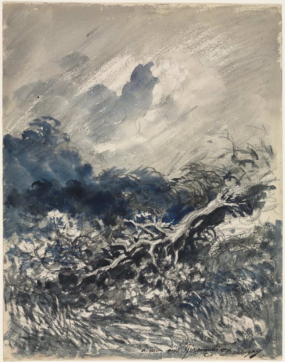 Dub a rákos od Charles Francois Daubigny