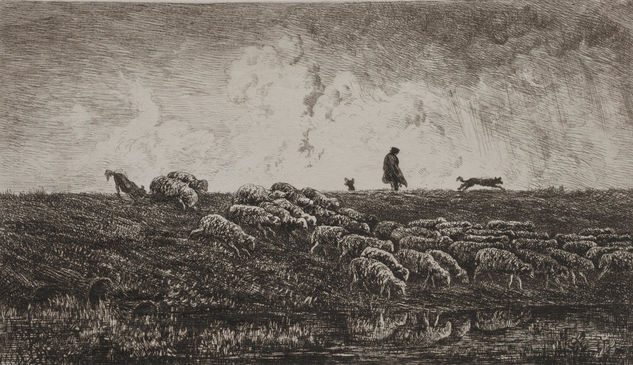 Sprcha od Charles Francois Daubigny