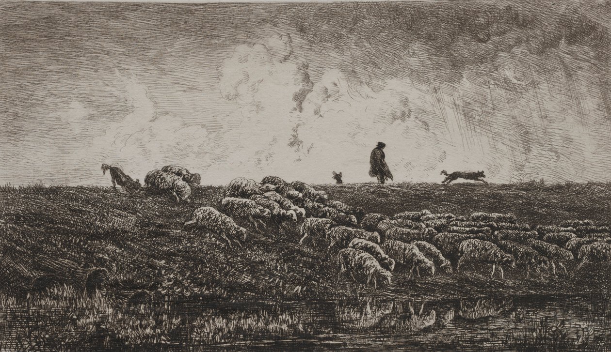 Sprcha, c. 1851. od Charles Francois Daubigny