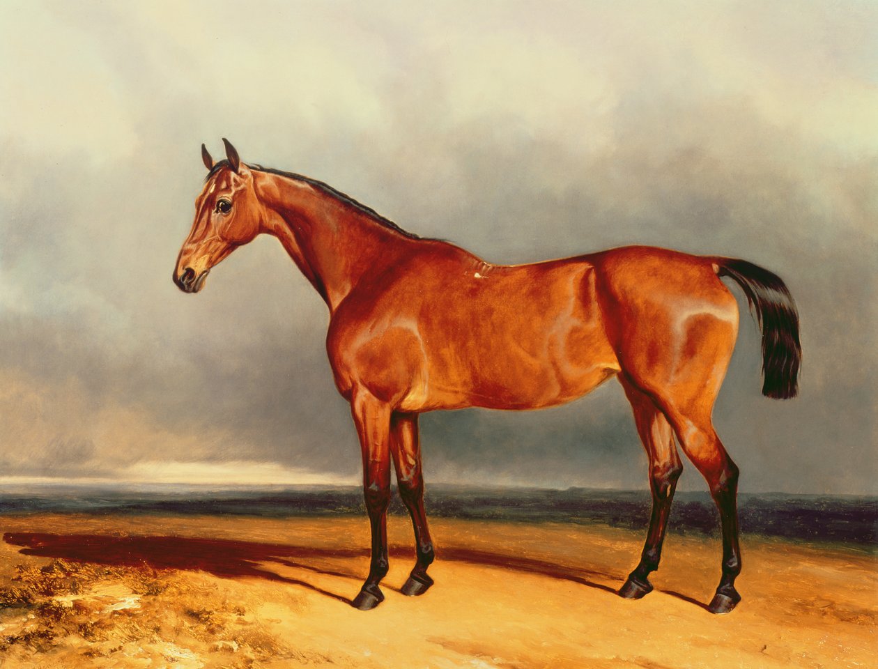 The Bay Hunter od Charles Hancock