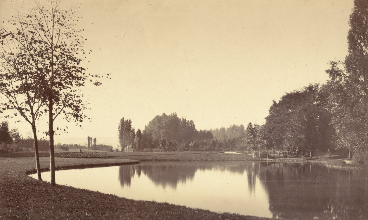 Bois de Boulogne od Charles Marville