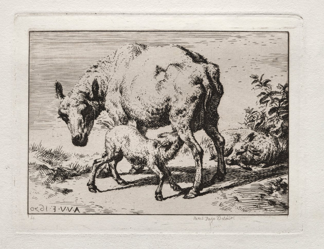 Ovce se dvěma jehňaty, 1850. od Charles Meryon