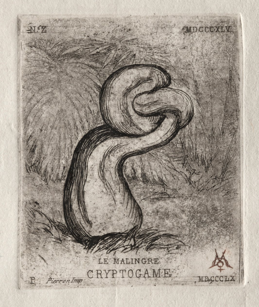 The Sickly Cryptogam, 1860. od Charles Meryon