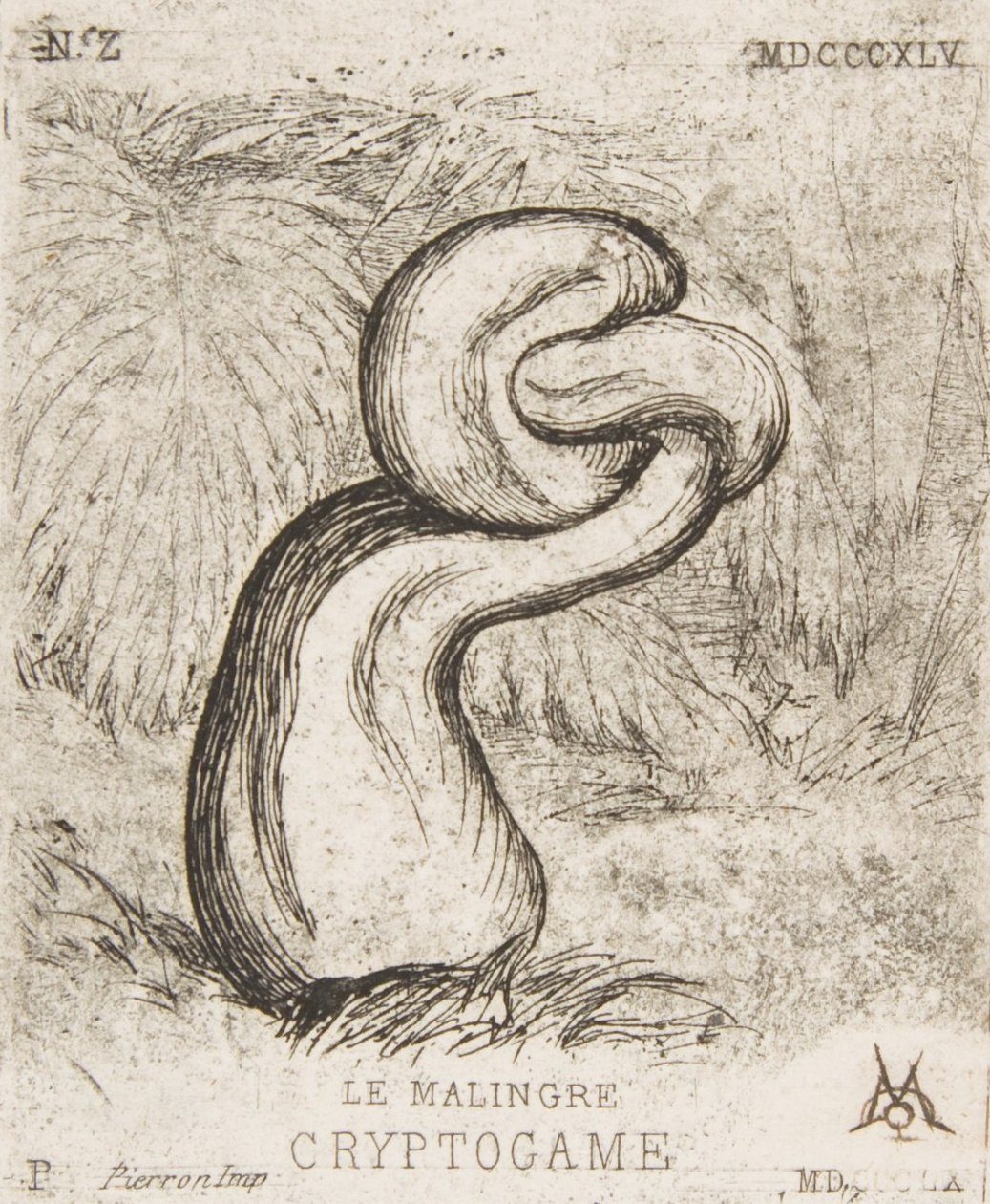 Malá kryptogamie, 1860. od Charles Meryon
