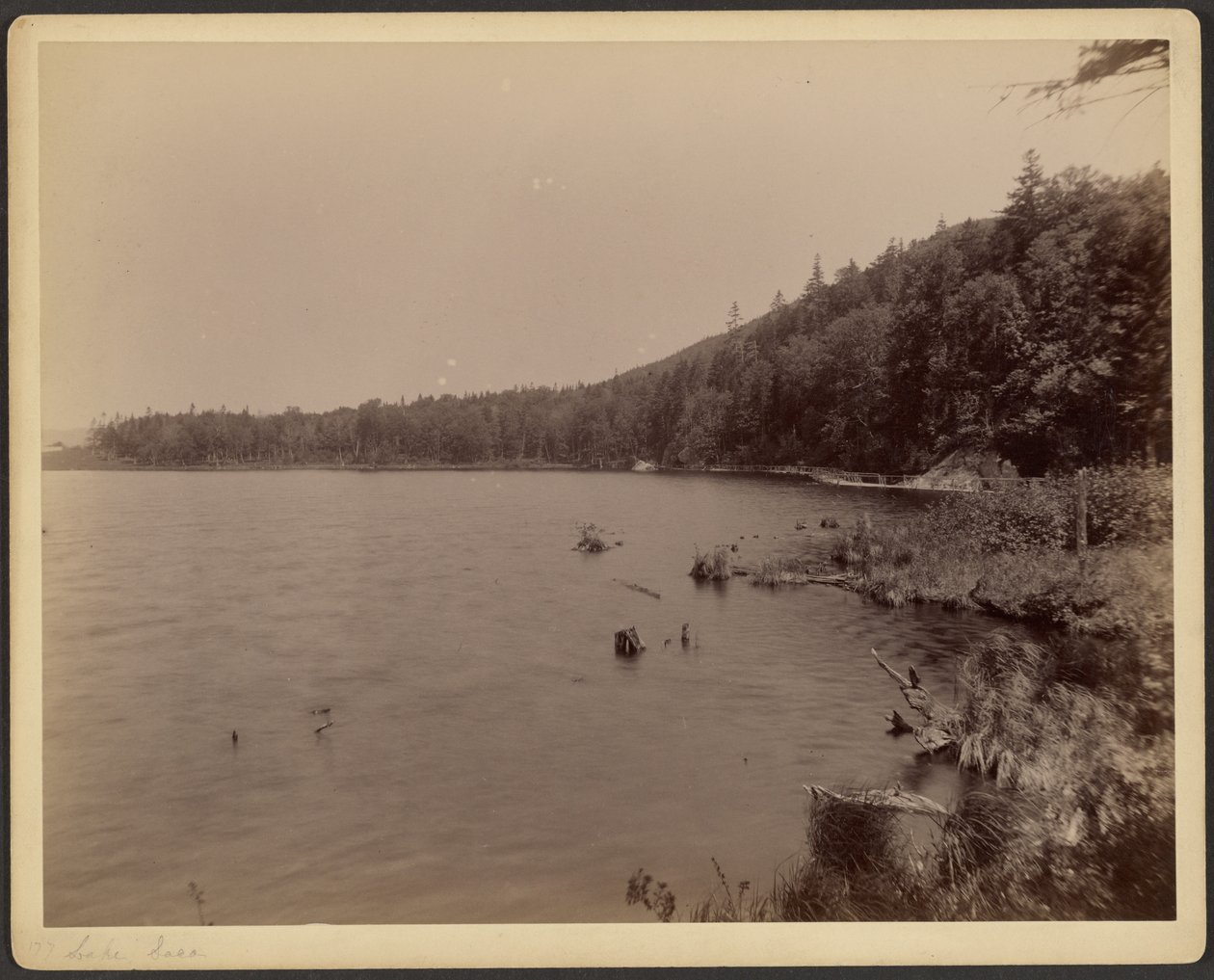 Jezero Saco od Charles P. Hibbard