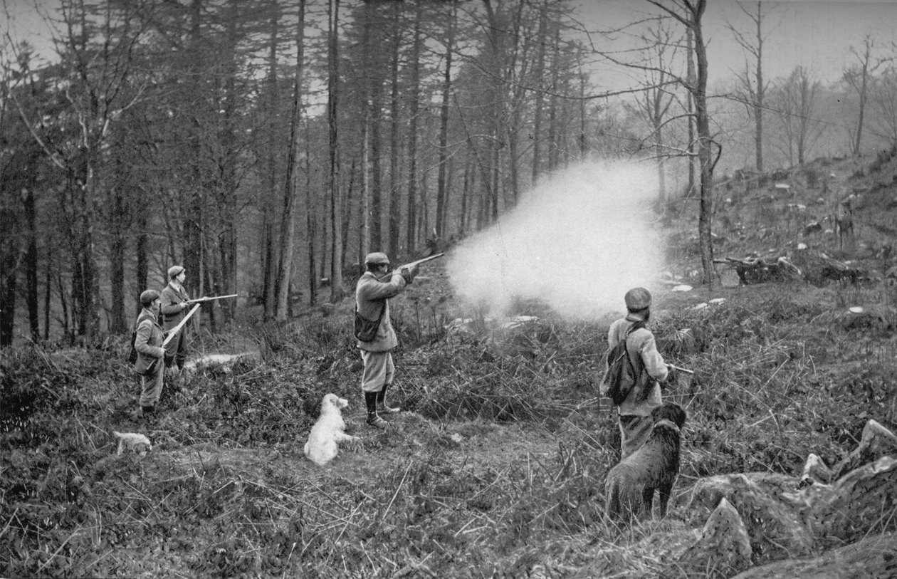 V The Coverts, c1902, 1903 od Charles Reid