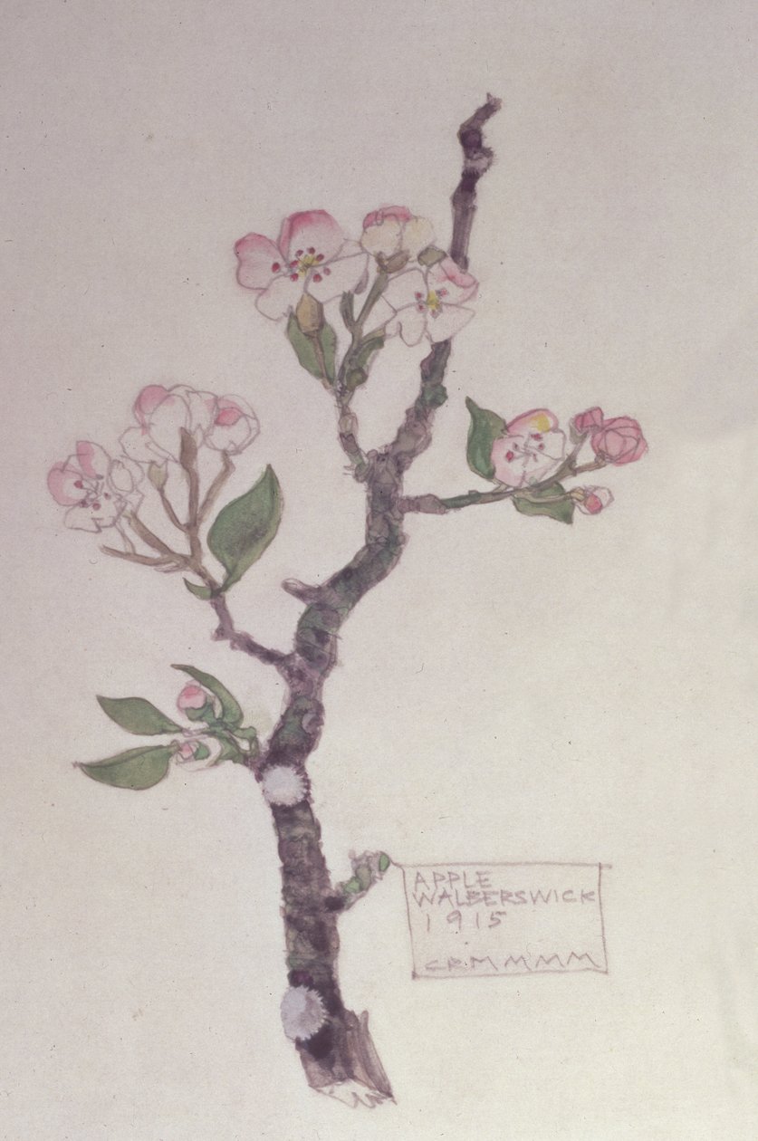 Apple, Walberswick, 1915 (tužka a wc) od Charles Rennie Mackintosh