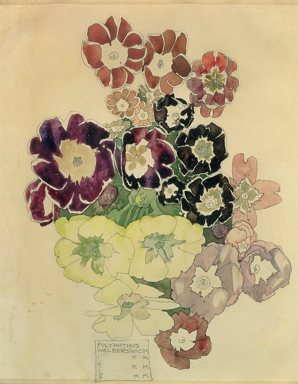 Polyanthus, Walberswick, 1915 od Charles Rennie Mackintosh