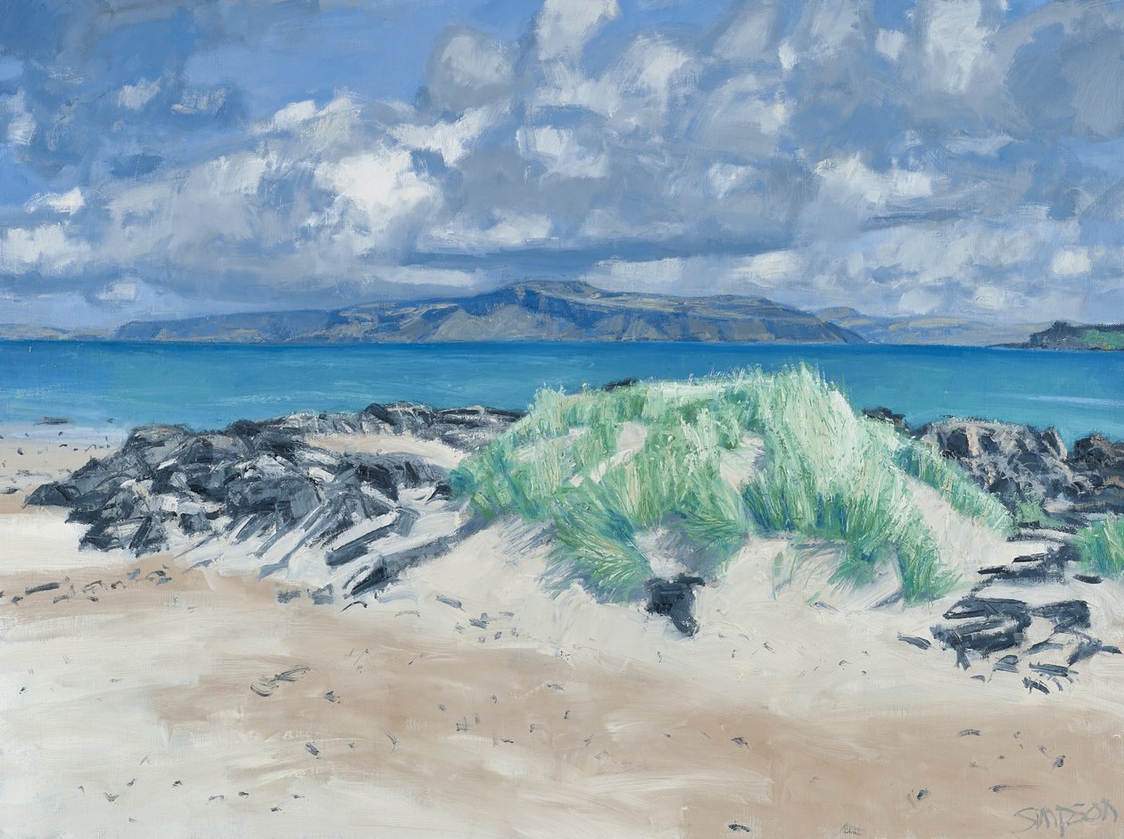 Skály a trávy, Iona, 2013 (olej na plátně) od Charles Simpson
