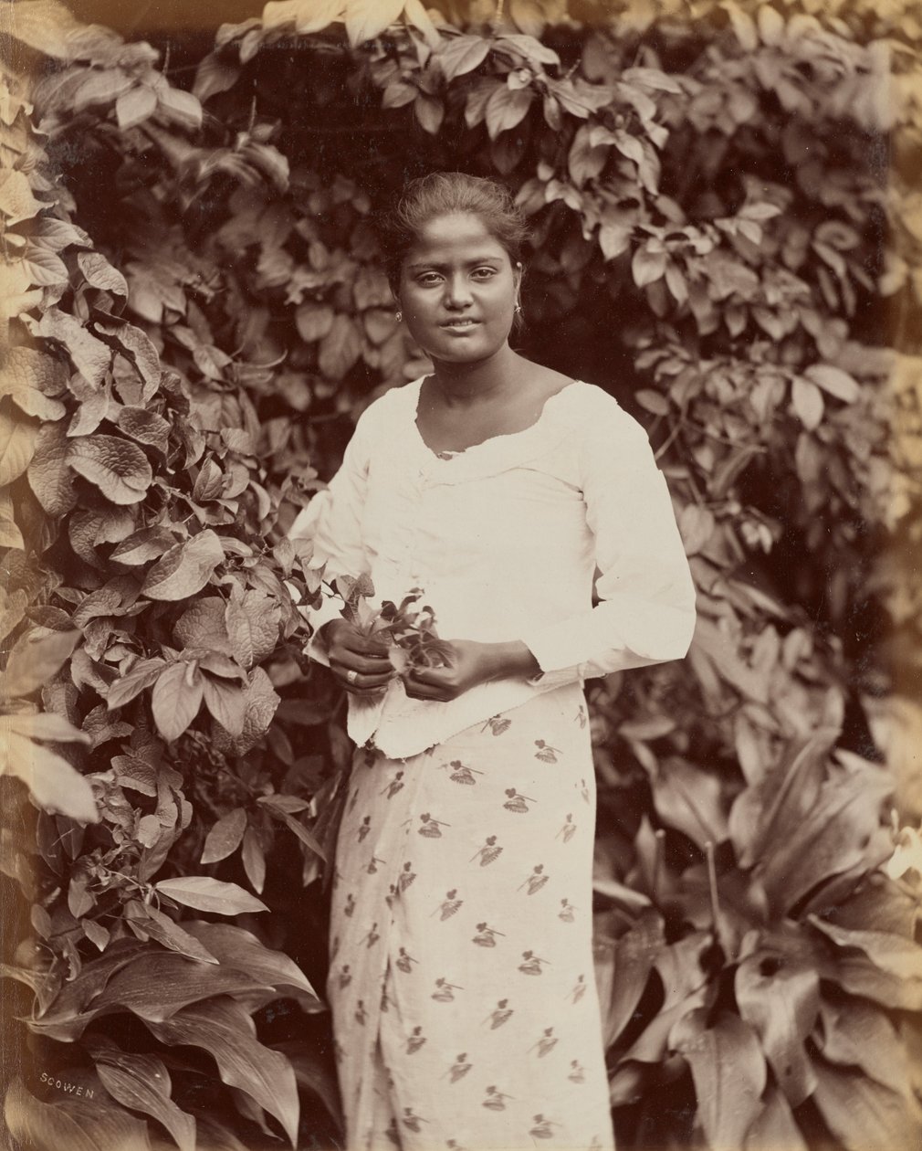 Singhálština od Charles T. Scowen