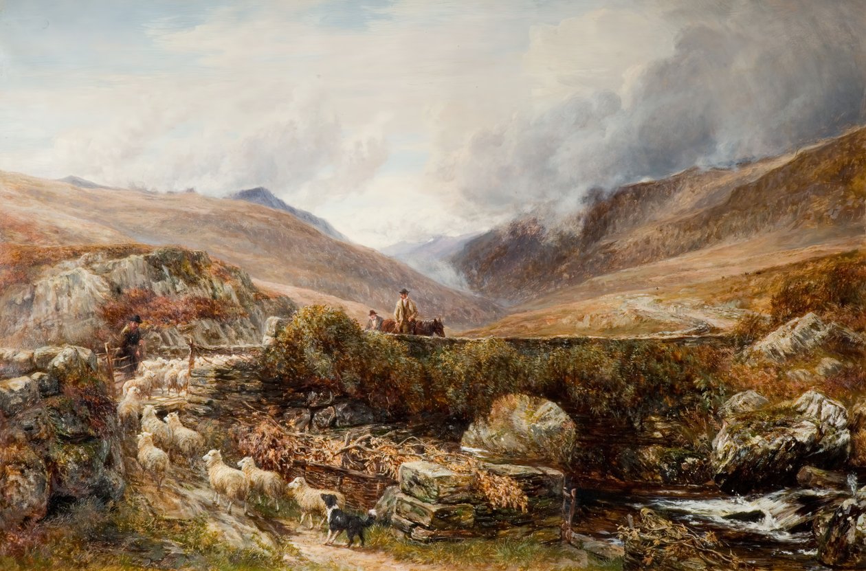 Poblíž Llanbedr, Barmouth, 1872. od Charles Thomas Burt