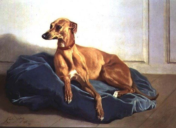 Studie ohaře od Charles Verlat