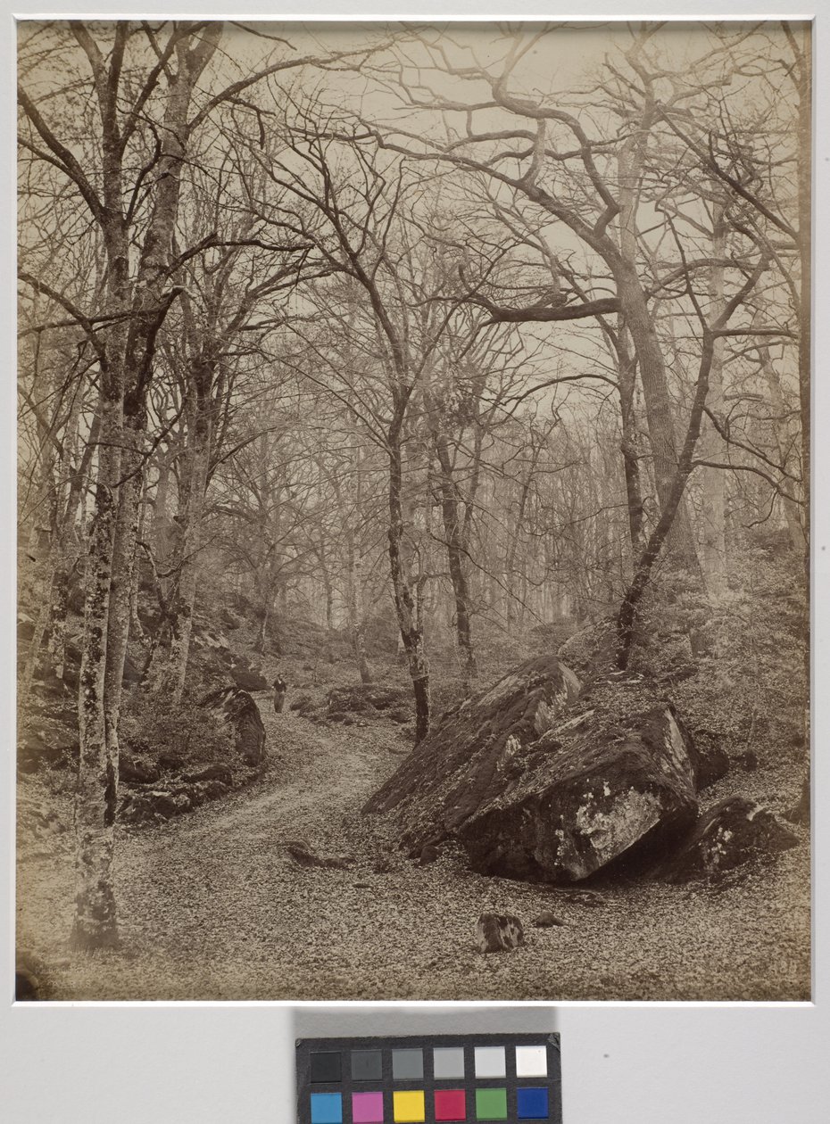 Fontainebleau, kolem roku 1870 (tisk alba) od Charles Victor Famin