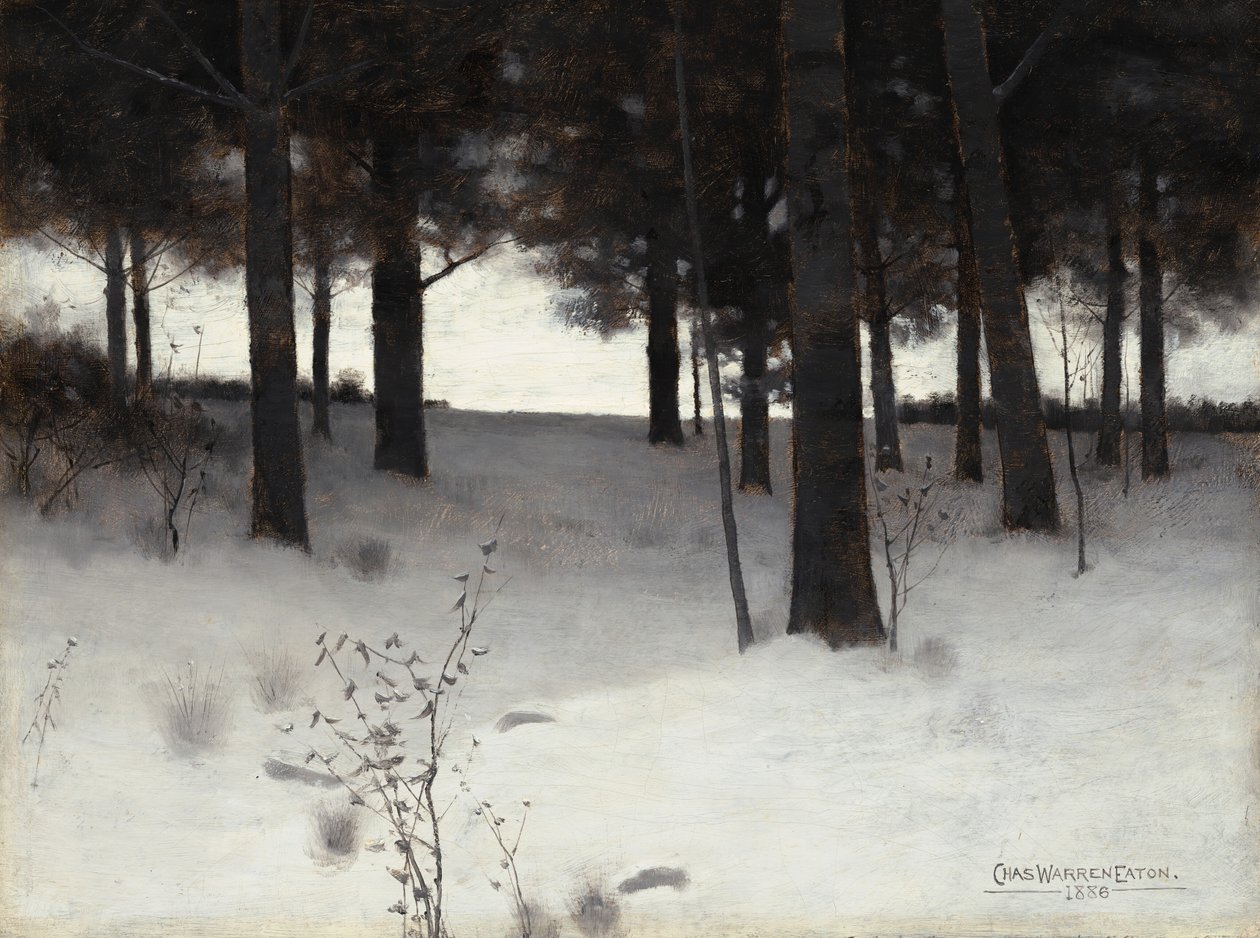 Woods v zimě, 1886. od Charles Warren Eaton