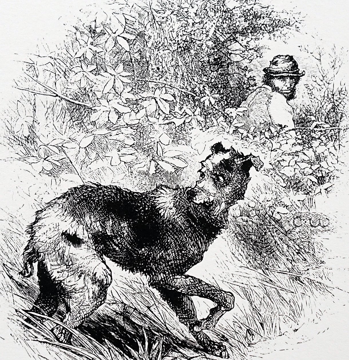 Pytlák se svým lurcherem od Charles Whymper