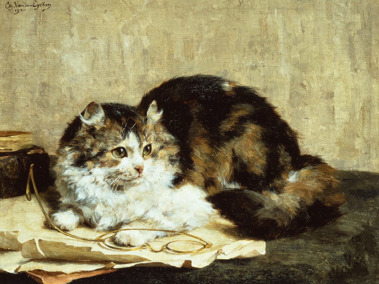Mourovatá kočka od Charles van den Eycken