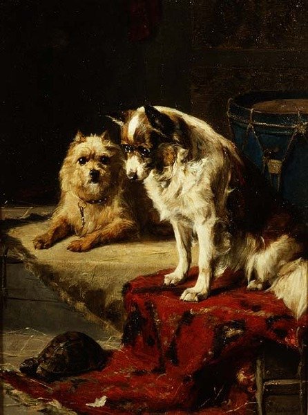 Psi a želva od Charles van den Eycken