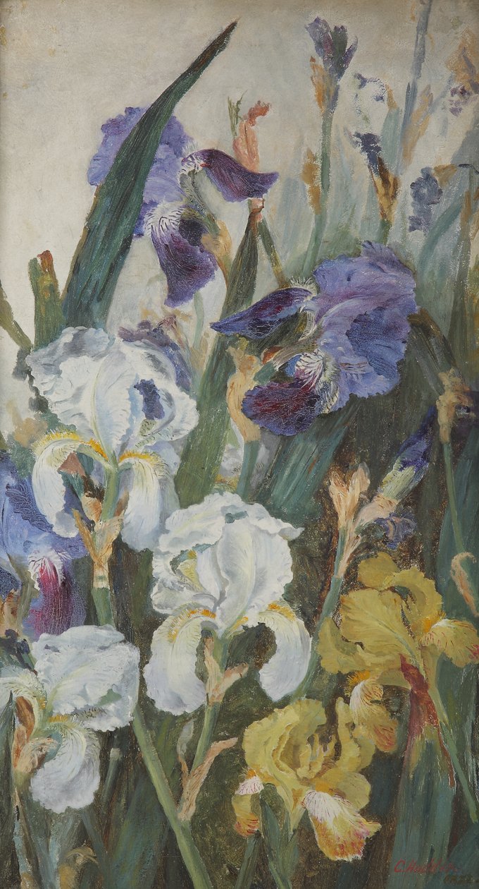 Kosatce, 1882 od Charlotte Hodder