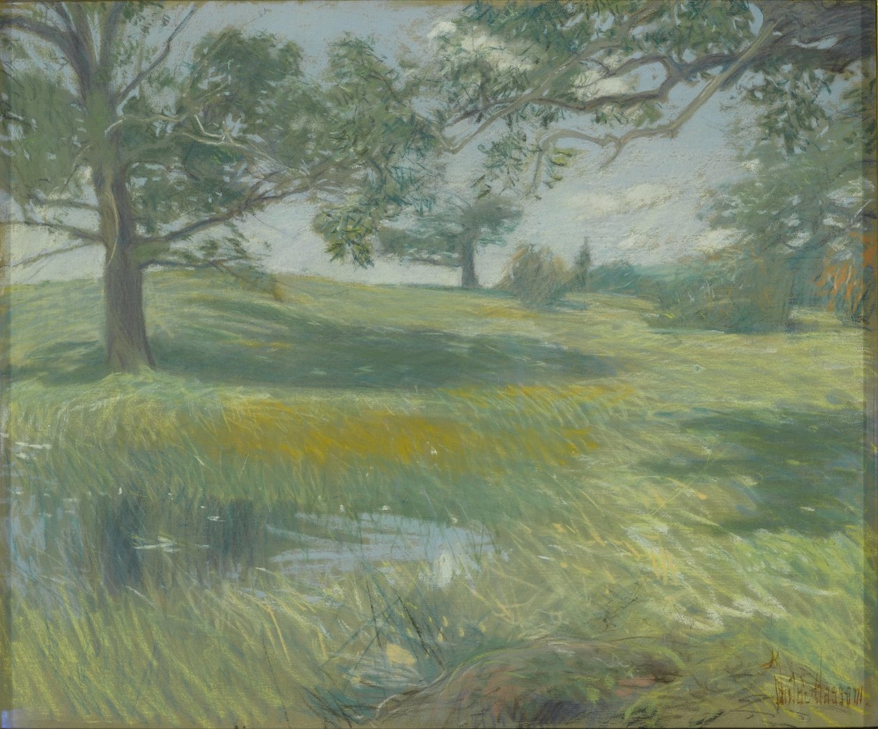 Meadows, cca 1900-10 (pastel na plátně) od Childe Frederick Hassam