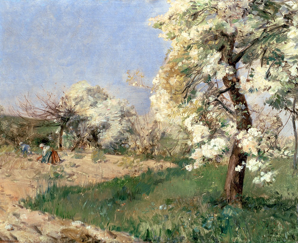 Hruškové květy, Villiers-de-Bel (olej na desce) od Childe Frederick Hassam