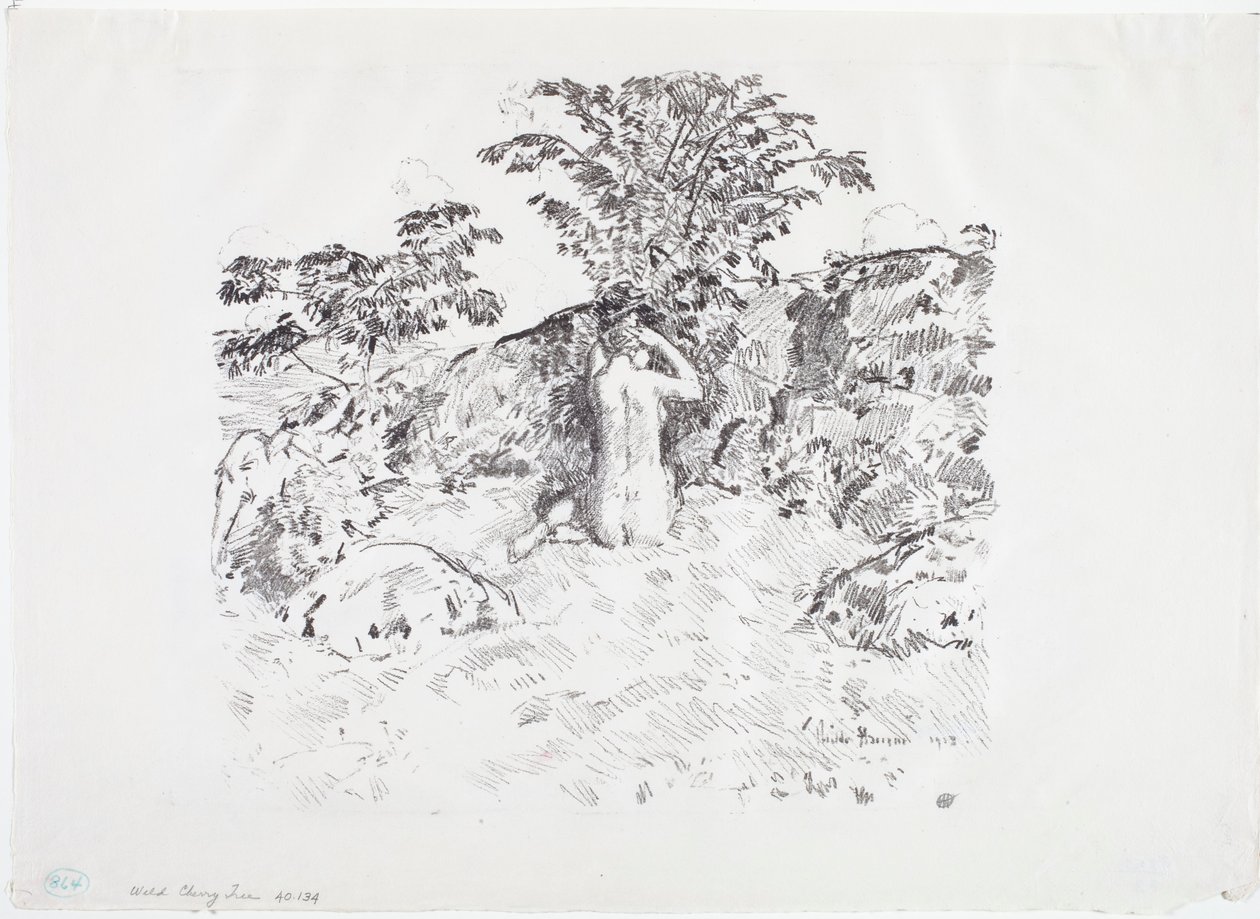 Divoká třešeň od Childe Frederick Hassam