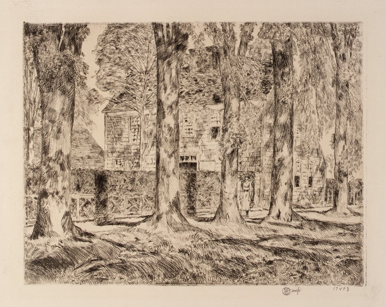 The Village Elms, Easthampton od Childe Hassam