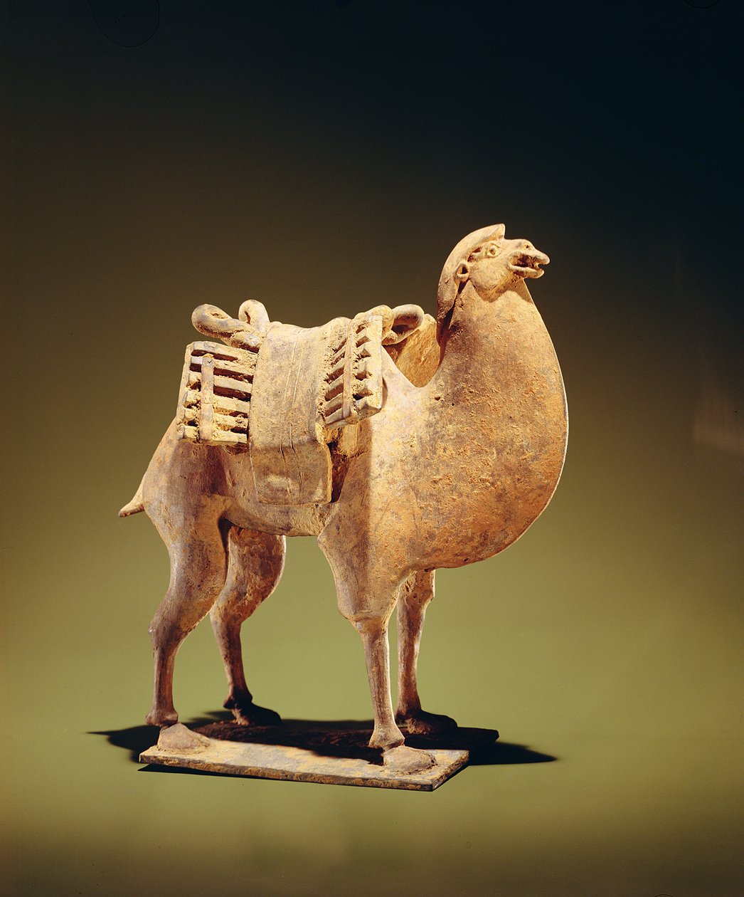 Velbloud, polovina až konec 6. století, severní Wei (386-534)-Severní dynastie Qi (550-77) (hliněné zboží) (viz také 394830) od Chinese School