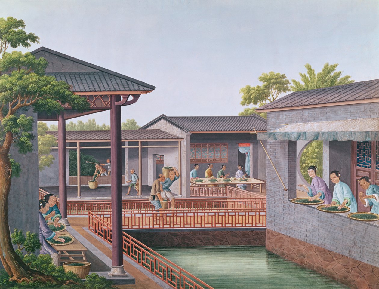Hodnocení čaje (wc na papíře) od Chinese School