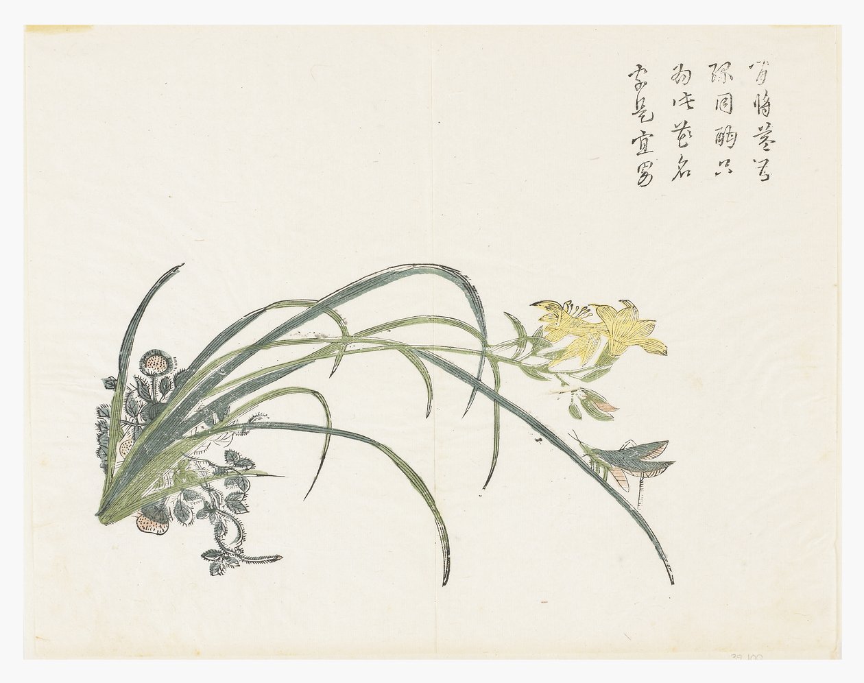 Zahrada hořčičných semen od Chinese School