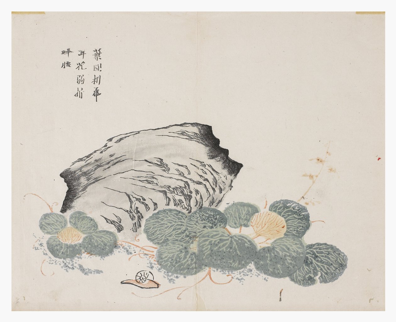 Zahrada hořčičných semen od Chinese School