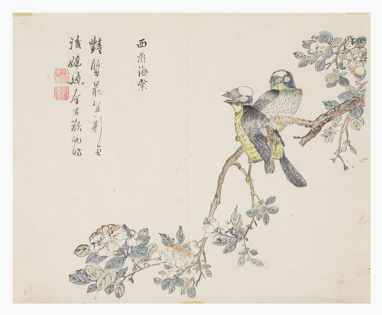 Zahrada hořčičných semen od Chinese School