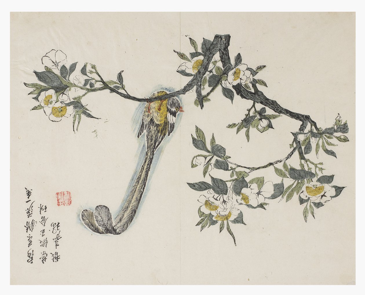 Zahrada hořčičných semen od Chinese School