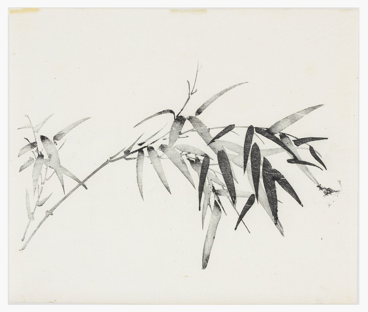 Řada Deset bambusů, 18. století od Chinese School